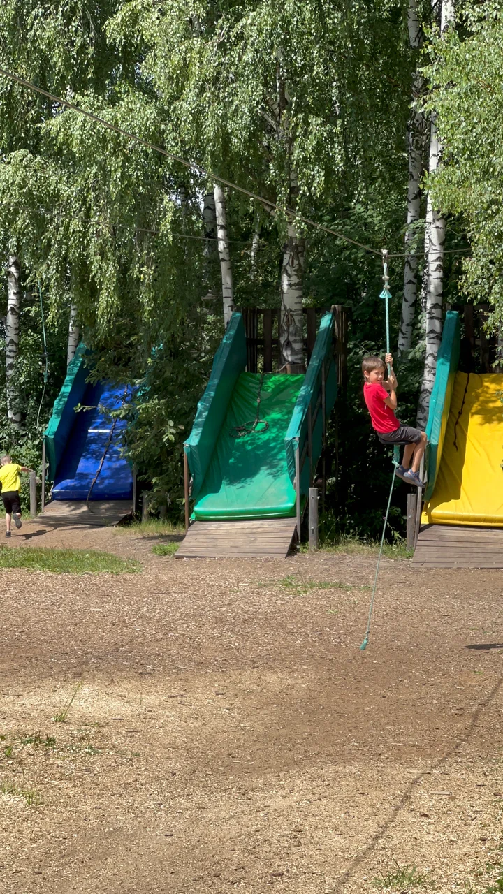 Фото Парк приключений Дикие белки - развлечение в Москве | Досугатор